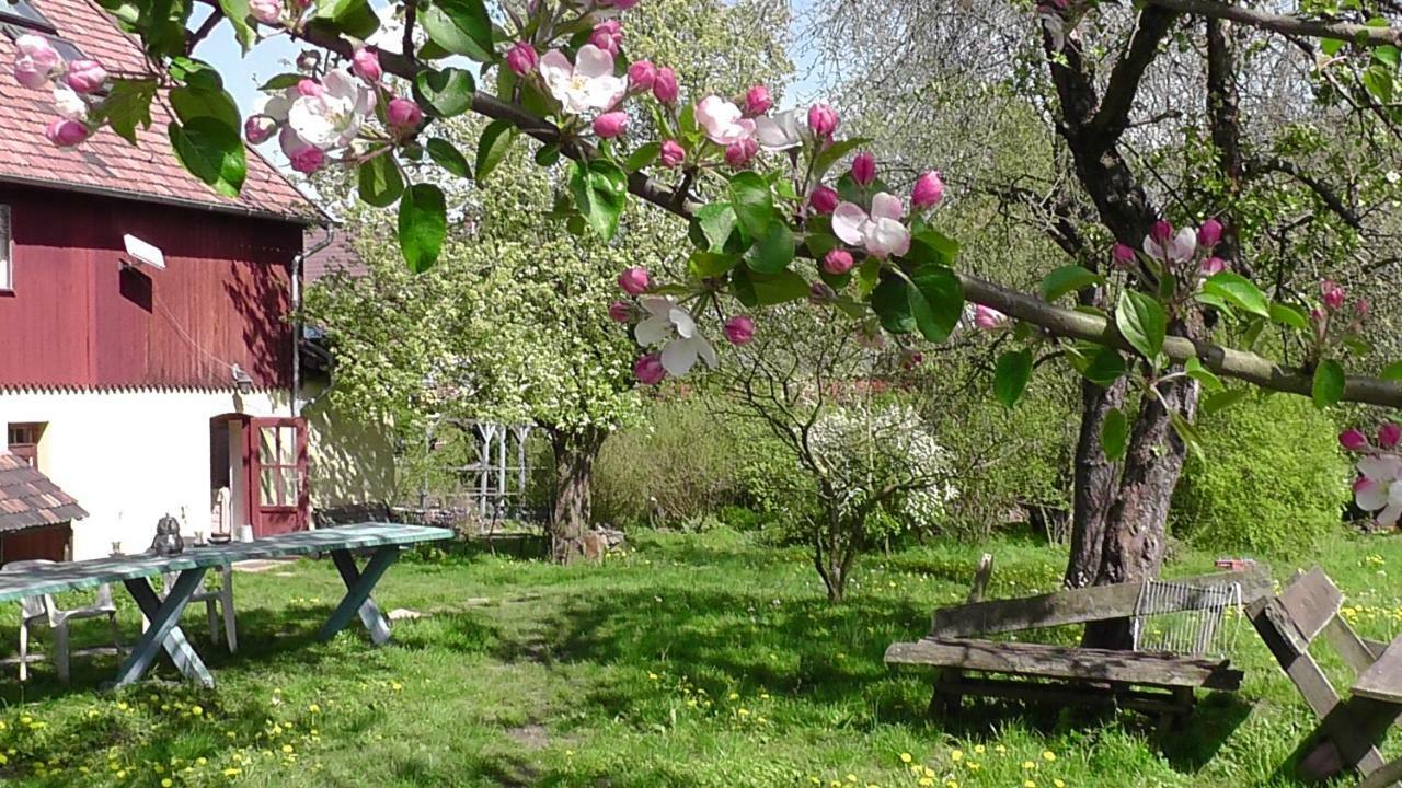 Appel-Ranch Apartment Bockelwitz Екстериор снимка