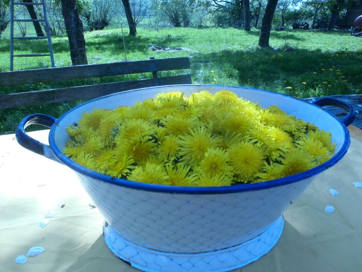 Appel-Ranch Apartment Bockelwitz Екстериор снимка