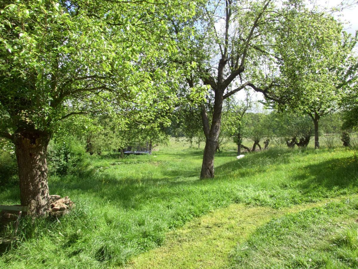 Appel-Ranch Apartment Bockelwitz Екстериор снимка