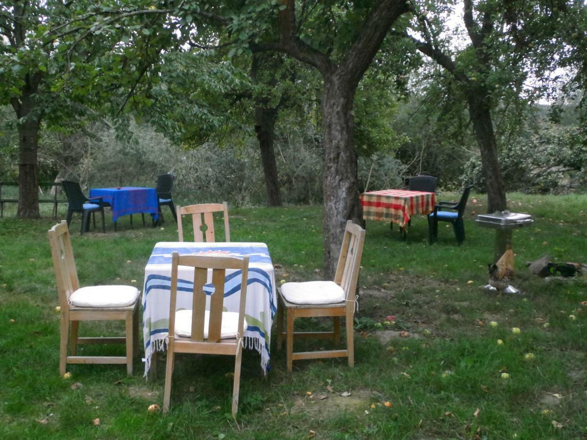 Appel-Ranch Apartment Bockelwitz Екстериор снимка